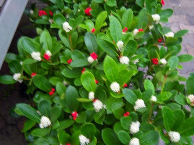 Name:  100_4570.jpg
Views: 241
Size:  49.8 KB
