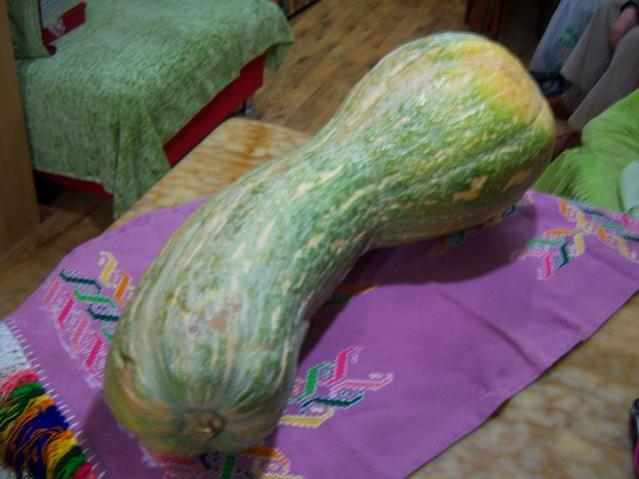 Name:  100_4572.jpg
Views: 270
Size:  39.9 KB