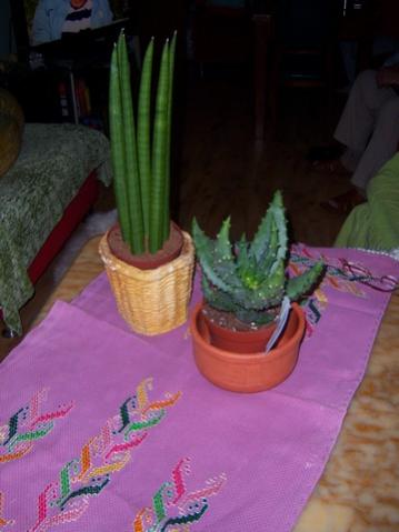 Name:  100_4581.jpg
Views: 250
Size:  22.6 KB