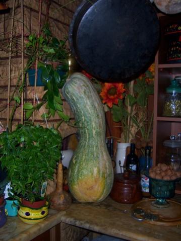 Name:  100_4590.jpg
Views: 244
Size:  29.6 KB