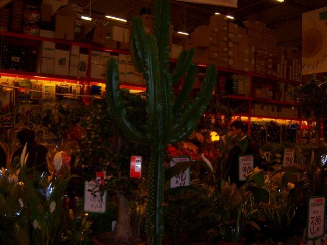Name:  100_4593.jpg
Views: 247
Size:  41.6 KB
