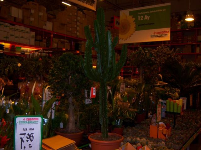 Name:  100_4594.jpg
Views: 267
Size:  43.0 KB