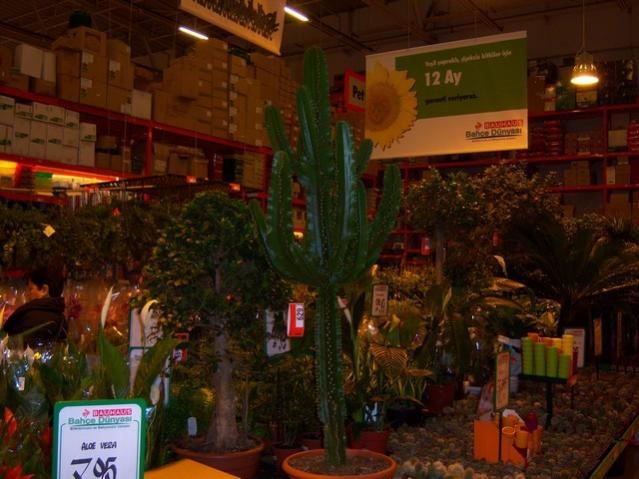 Name:  100_4595.jpg
Views: 275
Size:  49.4 KB