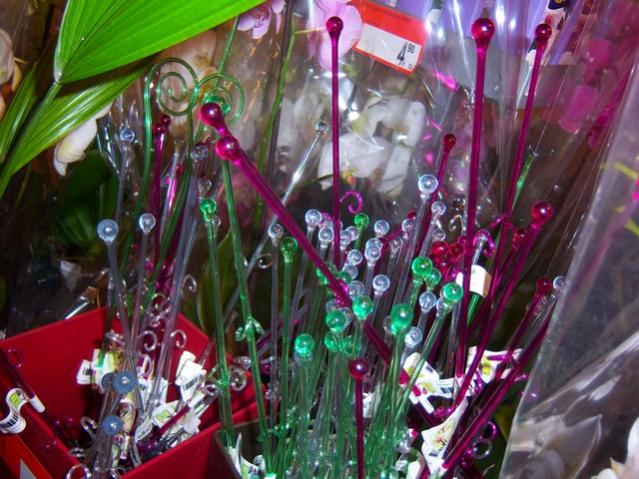 Name:  100_4599.jpg
Views: 307
Size:  62.7 KB