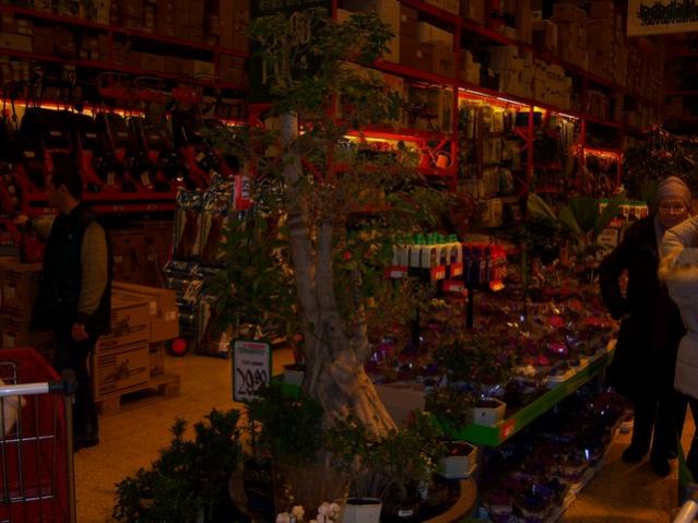 Name:  100_4601.jpg
Views: 327
Size:  45.9 KB
