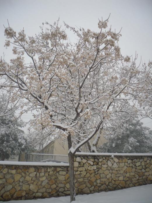 Name:  SDC13048 copy.jpg
Views: 546
Size:  73.9 KB