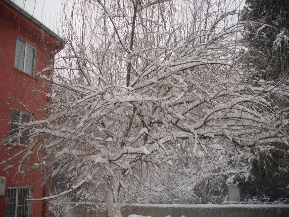 Name:  SDC13055 copy.jpg
Views: 545
Size:  70.2 KB