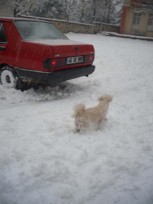 Name:  SDC13033 copy.jpg
Views: 536
Size:  47.5 KB