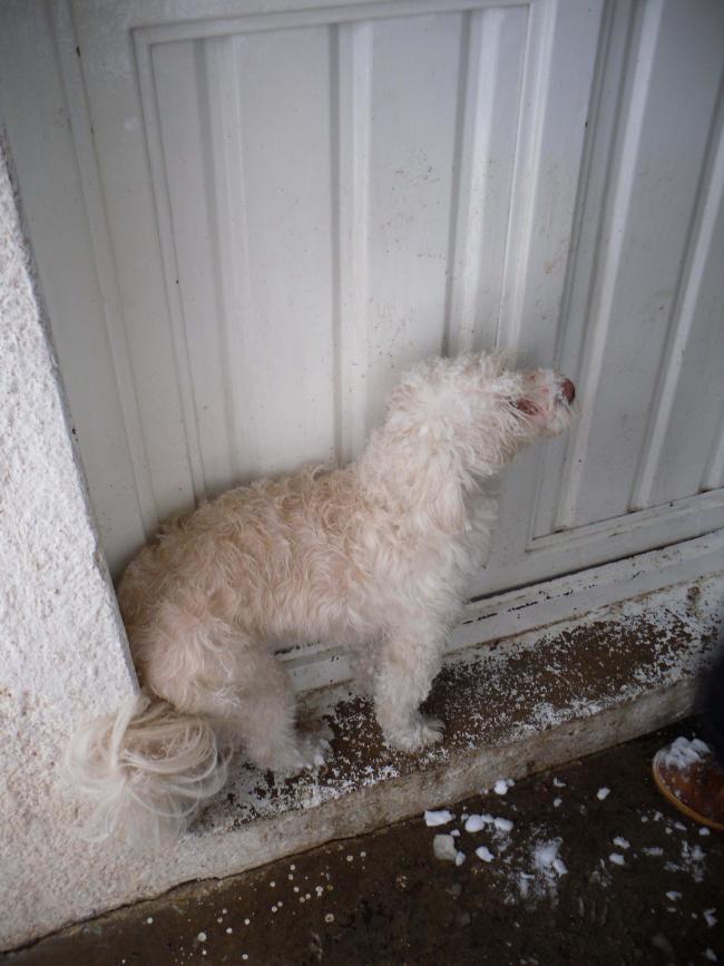 Name:  SDC13088 copy.jpg
Views: 521
Size:  65.1 KB