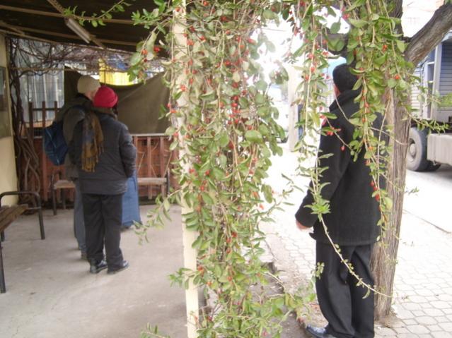 Name:  SL734635.jpg
Views: 825
Size:  58.5 KB