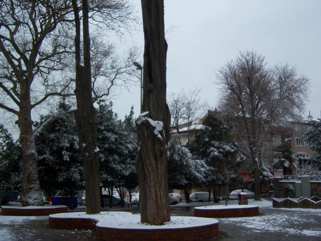Name:  100_4610.jpg
Views: 248
Size:  58.3 KB