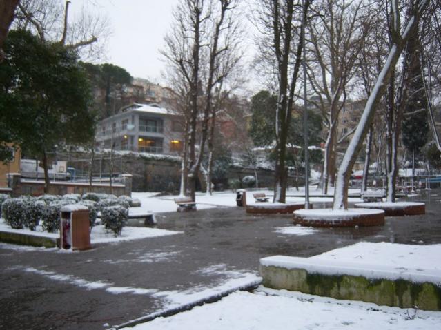 Name:  100_4611.jpg
Views: 263
Size:  59.3 KB