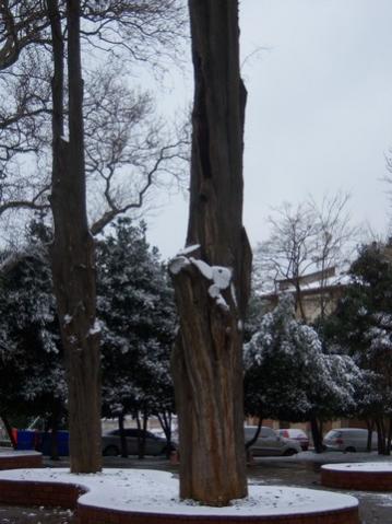 Name:  100_4615.jpg
Views: 257
Size:  31.2 KB