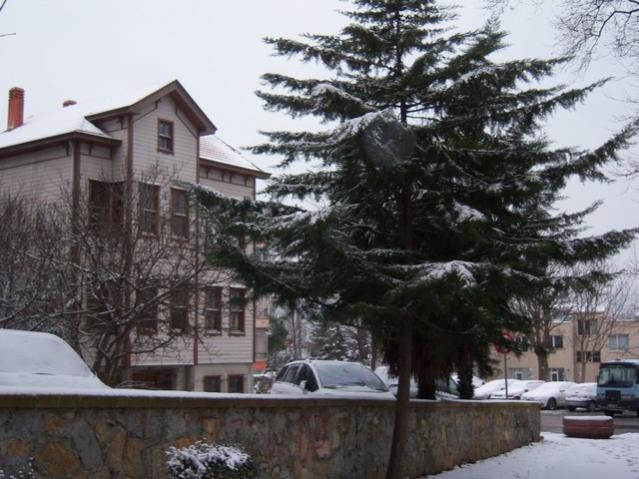 Name:  100_4617.jpg
Views: 466
Size:  54.0 KB