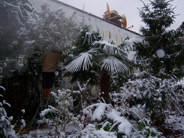 Name:  100_4629.jpg
Views: 255
Size:  65.0 KB