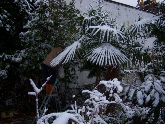 Name:  100_4630.jpg
Views: 456
Size:  67.2 KB