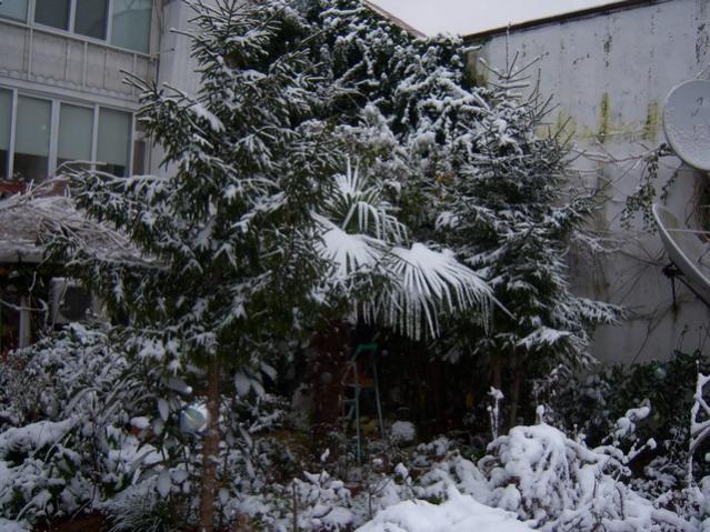 Name:  100_4631.jpg
Views: 289
Size:  69.2 KB