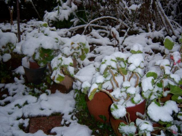 Name:  100_4639.jpg
Views: 243
Size:  54.9 KB