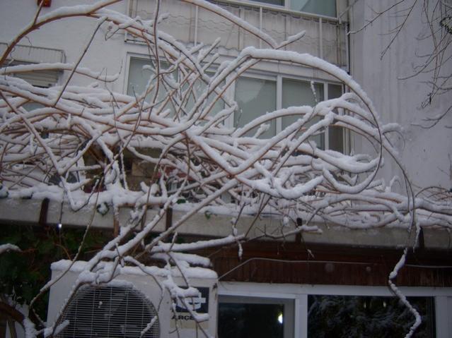 Name:  100_4642.jpg
Views: 229
Size:  52.4 KB