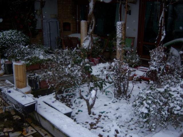 Name:  100_4664.jpg
Views: 360
Size:  54.2 KB