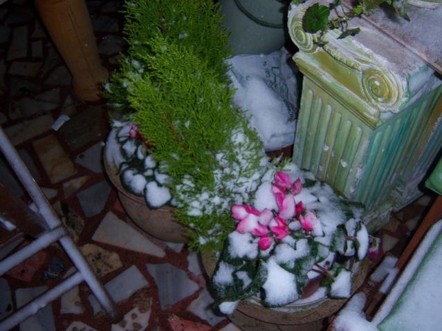Name:  100_4667.jpg
Views: 359
Size:  49.6 KB