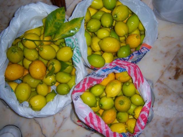 Name:  100_4672.jpg
Views: 376
Size:  47.6 KB