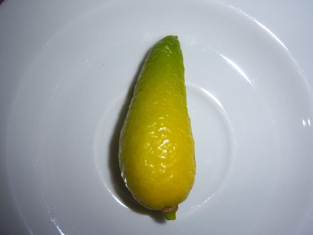 Name:  100_4673.jpg
Views: 362
Size:  59.3 KB