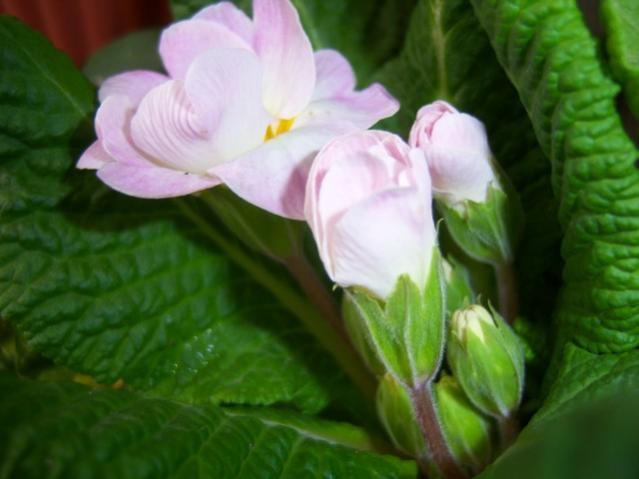 Name:  100_4689.jpg
Views: 477
Size:  32.8 KB