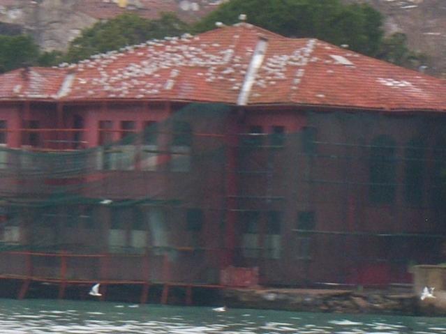 Name:  100_4695.jpg
Views: 635
Size:  35.9 KB