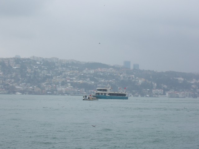 Name:  100_4720.jpg
Views: 683
Size:  68.5 KB