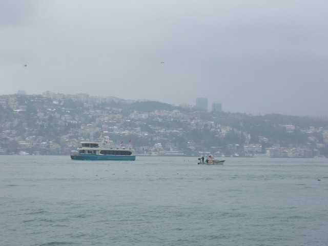 Name:  100_4721.jpg
Views: 694
Size:  68.0 KB