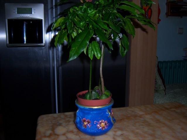 Name:  100_4724.jpg
Views: 700
Size:  30.3 KB
