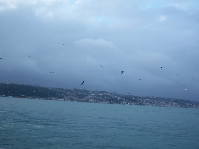 Name:  100_4726.jpg
Views: 466
Size:  64.8 KB
