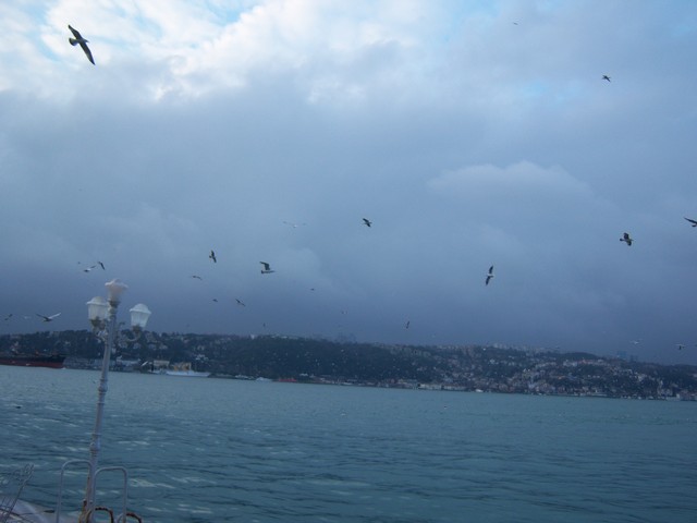Name:  100_4727.jpg
Views: 710
Size:  67.4 KB