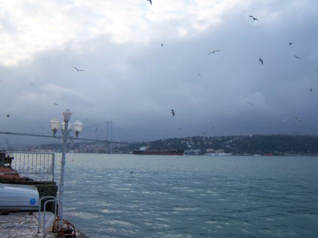 Name:  100_4728.jpg
Views: 728
Size:  26.6 KB