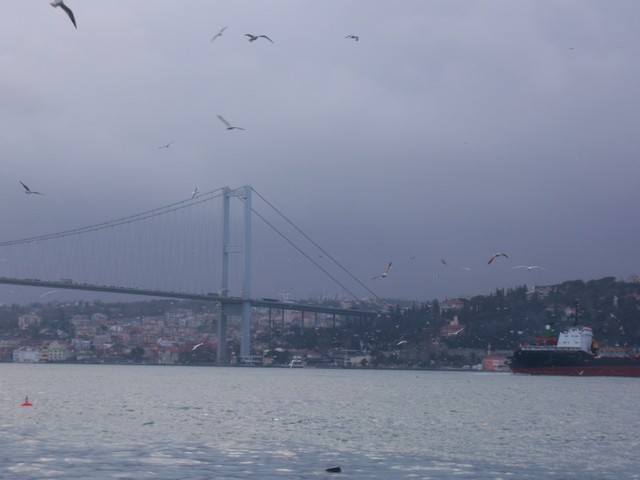 Name:  100_4729.jpg
Views: 688
Size:  69.5 KB