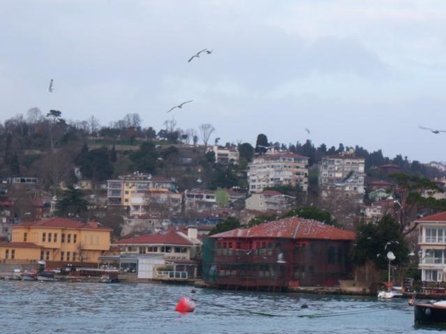 Name:  100_4731.jpg
Views: 705
Size:  37.3 KB