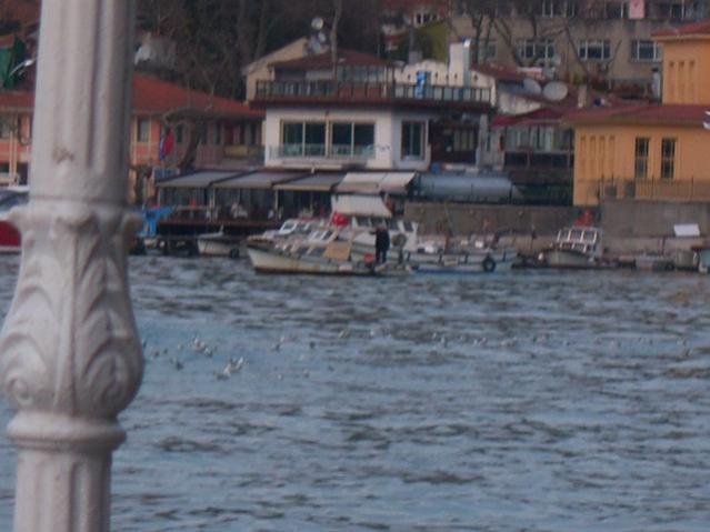 Name:  100_4732.jpg
Views: 667
Size:  38.6 KB