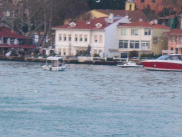 Name:  100_4733.jpg
Views: 698
Size:  34.5 KB