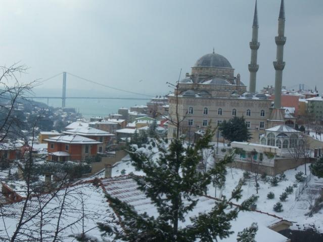 Name:  100_4738.jpg
Views: 432
Size:  48.0 KB