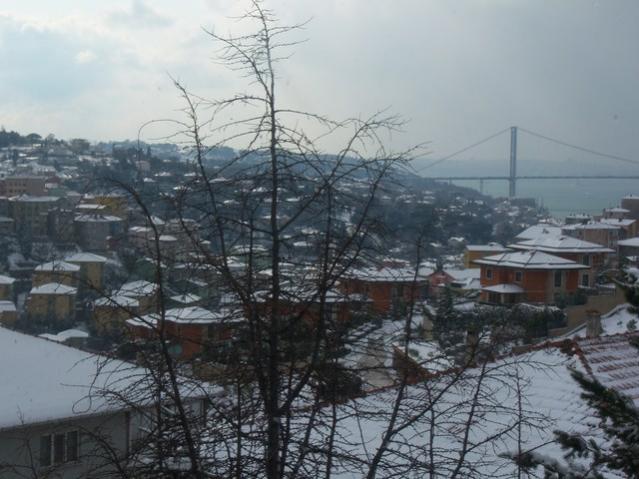 Name:  100_4739.jpg
Views: 697
Size:  49.1 KB