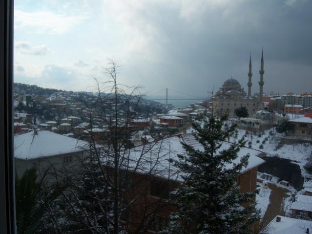Name:  100_4740.jpg
Views: 454
Size:  41.4 KB