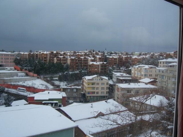 Name:  100_4741.jpg
Views: 692
Size:  41.5 KB