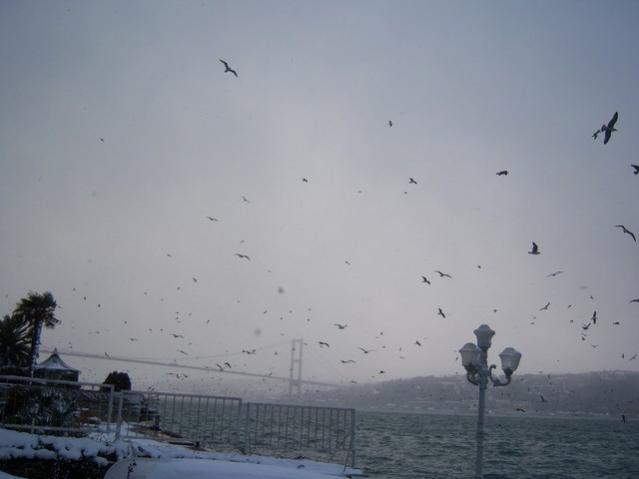 Name:  100_4759.jpg
Views: 335
Size:  21.2 KB