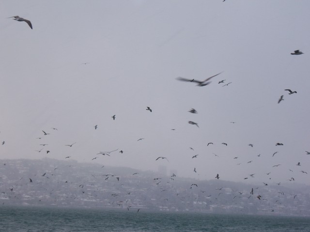Name:  100_4760.jpg
Views: 342
Size:  58.6 KB