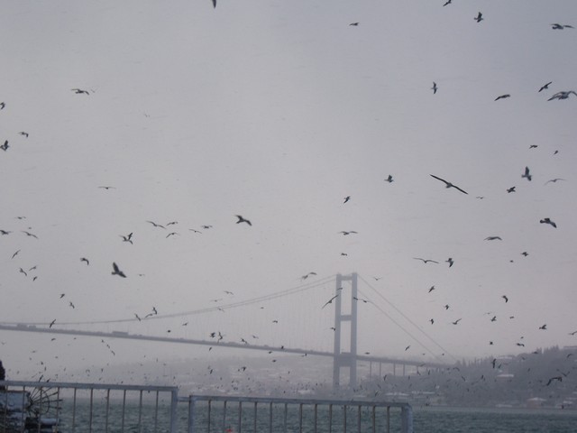 Name:  100_4761.jpg
Views: 350
Size:  63.6 KB