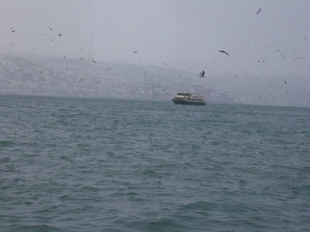 Name:  100_4763.jpg
Views: 344
Size:  26.7 KB