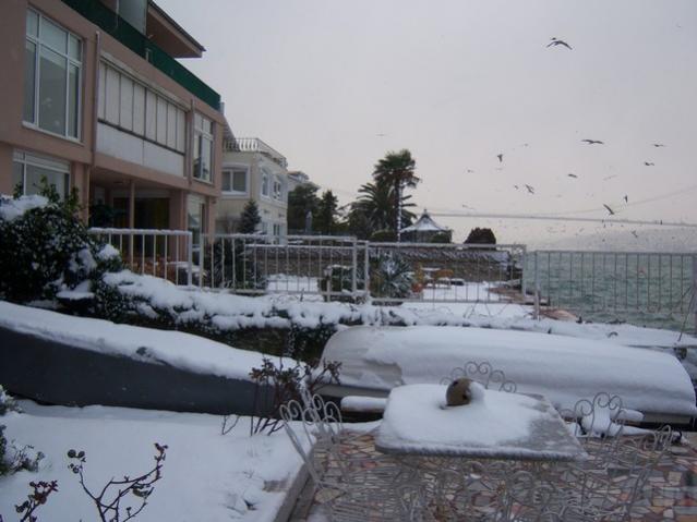 Name:  100_4766.jpg
Views: 342
Size:  40.5 KB