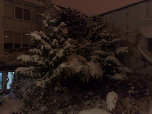 Name:  31012012643.jpg
Views: 388
Size:  31.5 KB