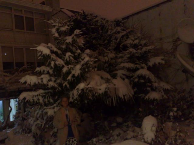 Name:  31012012645.jpg
Views: 403
Size:  32.3 KB